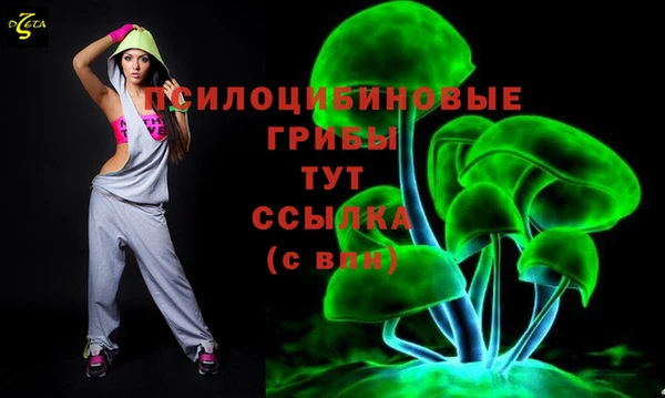 амф Арсеньев