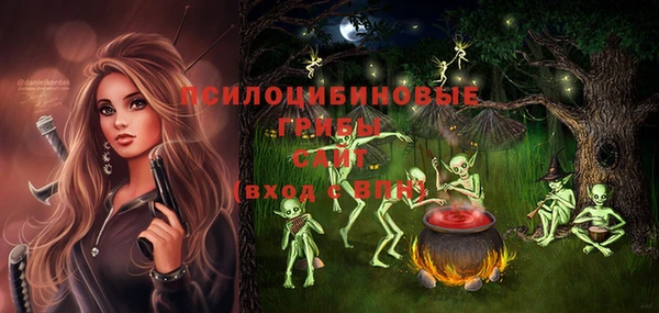 амф Арсеньев