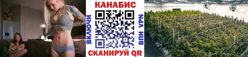 Каннабис AK-47 Рассказово